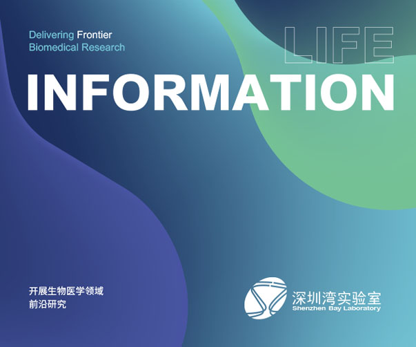 上海VI设计公司与世界500强企业的合作之道