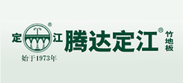 腾达-定江